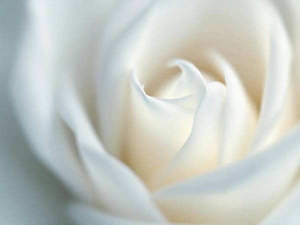 AlphaFold wird real: KI-entwickelte Medikamente gehen in klinische Studien